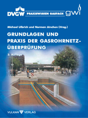 cover image of Grundlagen und Praxis der Gasrohrnetzüberprüfung